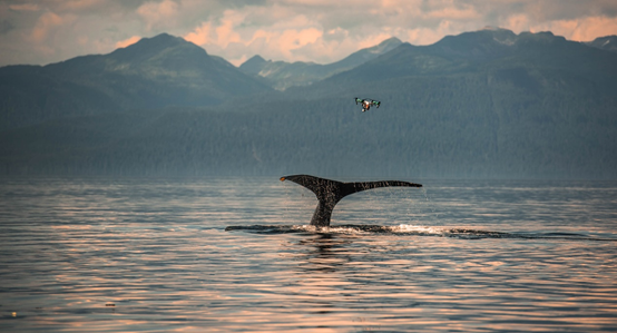 英特尔人工智能推动数据战略应用落地