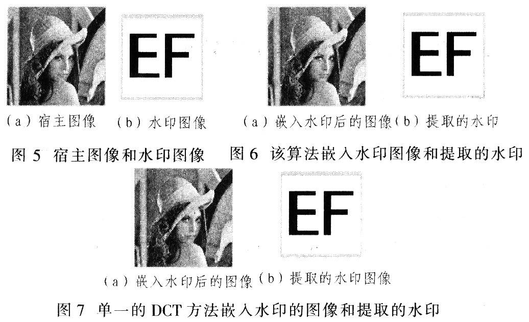 一种基于DWT-DCT变换强鲁棒性的数字水印算