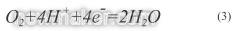 newmaker.com