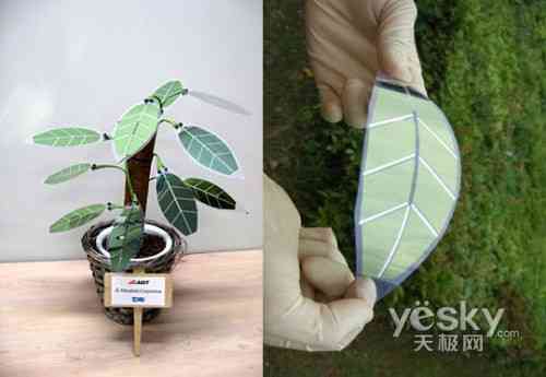 日本新太阳能技术让你的“植物”弃水从电